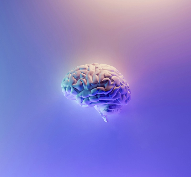 decoration Management, RH & Organisation